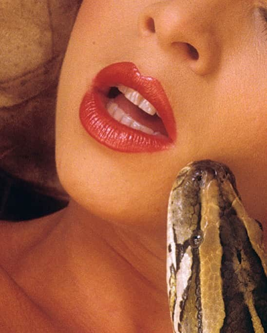 プレイボーイさんのインスタグラム写真 - (プレイボーイInstagram)「🐍 An outtake from the 1986 pictorial ‘Lips’ by Stephen Wayda #playboyheritage」2月7日 4時01分 - playboy