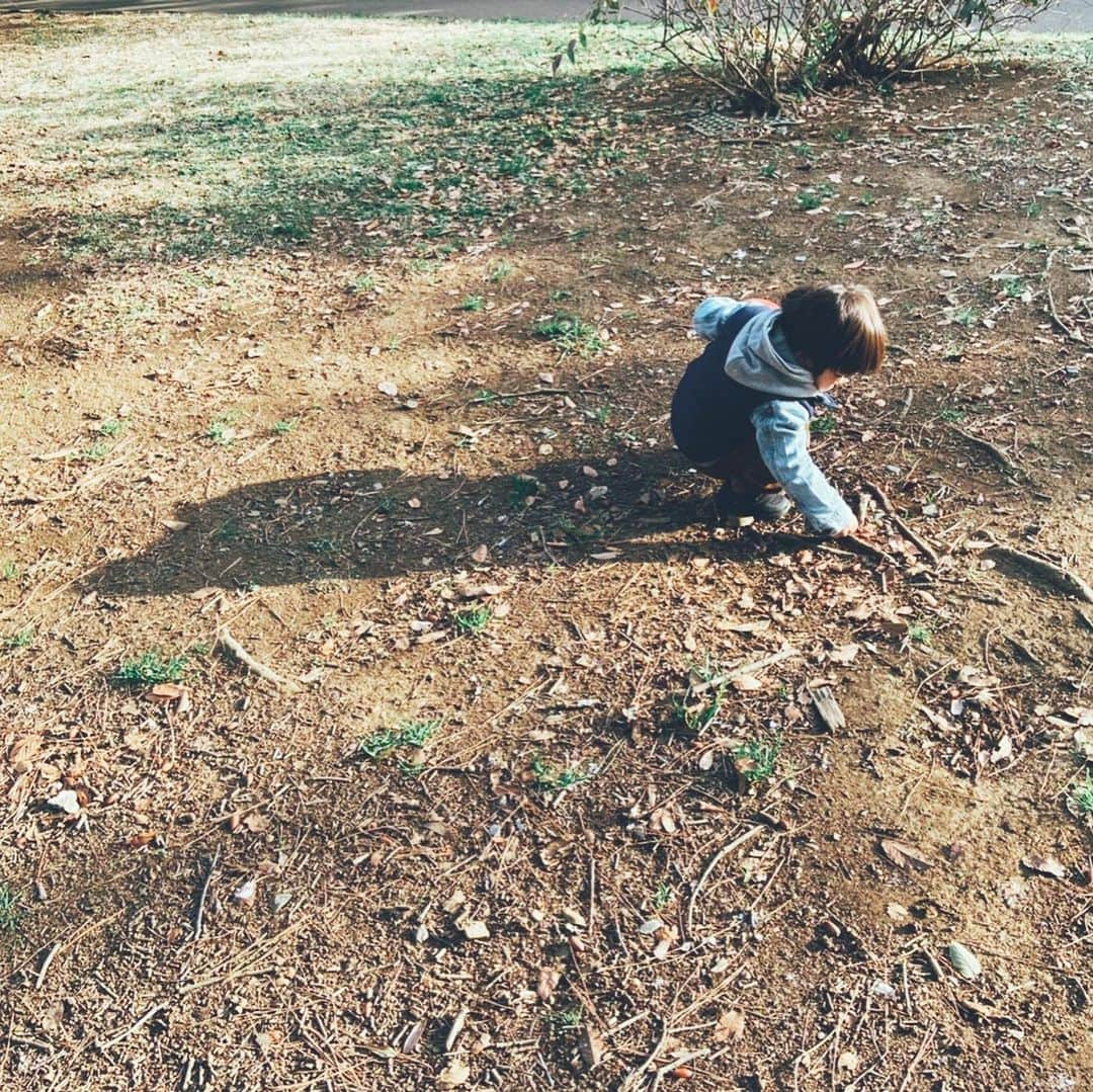 安田美沙子さんのインスタグラム写真 - (安田美沙子Instagram)「最近朝の5時に、息子とはんながのしかかって来て目がさめる。なんか、うなされる😭笑 なので早朝更新。 . . . 先日、家族で代々木公園✨ はんなも、ドッグラン❤️トリミング前だから、かなりの爆発具合。笑 こどもの柴犬に、しきりに遊ぼう！と絡んで行き、じゃれ合っていました🐶 13歳だけど、そんなパワーがあるのが嬉しかった😊✨ . . . 息子はパパとサッカーしたり、代々木公園をボールを蹴りながら一周🏀それだけで、かなりの運動😊 男の子やなぁ。と感じる日々です！毎日疲れるくらい動かせてあげたいな🏃‍♂️ . . . #instagood #park #yoyogipark #hanna #dog #bichonfrise  #13yearsold  #boy #33monthsold #japan  #飛行機の低空飛行が見えた ✈️ #パパコーデ」2月7日 5時39分 - yasuda_misako