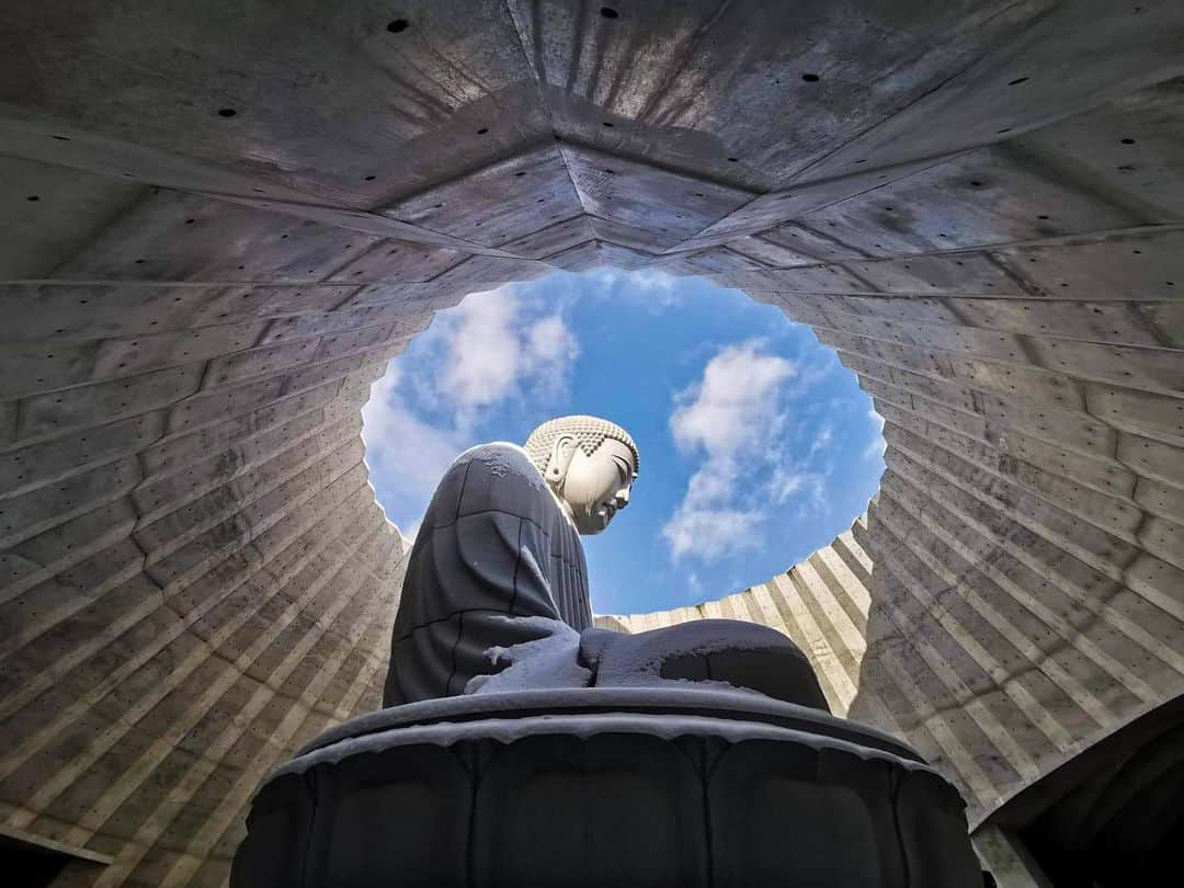 National Geographic Travelさんのインスタグラム写真 - (National Geographic TravelInstagram)「Photos by @amandamustard | An enormous Buddha statue pokes the top of its head from a cavernous concrete structure at the Makomanai Takino Cemetery in Sapporo, Japan. Atama Daibutsu, or the Buddha's Head, stands at 13.5 meters (44 feet) and was designed by Japanese architect Tadao Ando. While icicles hang from the chin and snow sits on the top of the head at this time of year, the warmer seasons reveal 150,000 bushes of lavender covering the domed hill above.」2月7日 6時17分 - natgeotravel