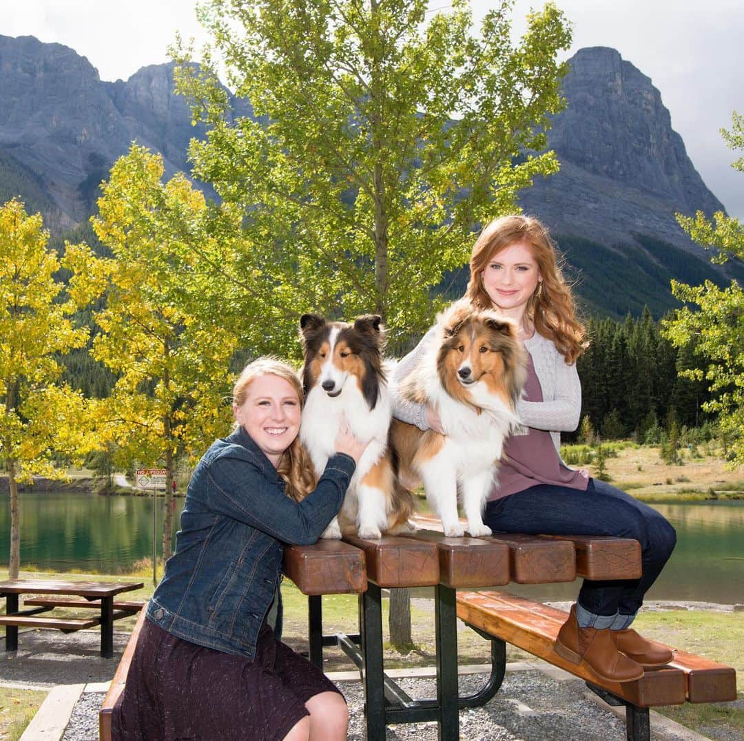 のインスタグラム：「Just a throwback because I’m currently missing all the things in this picture. That is all💜 @littlestvetshop #sisterlylove❤️ #puppers #mountains😍」