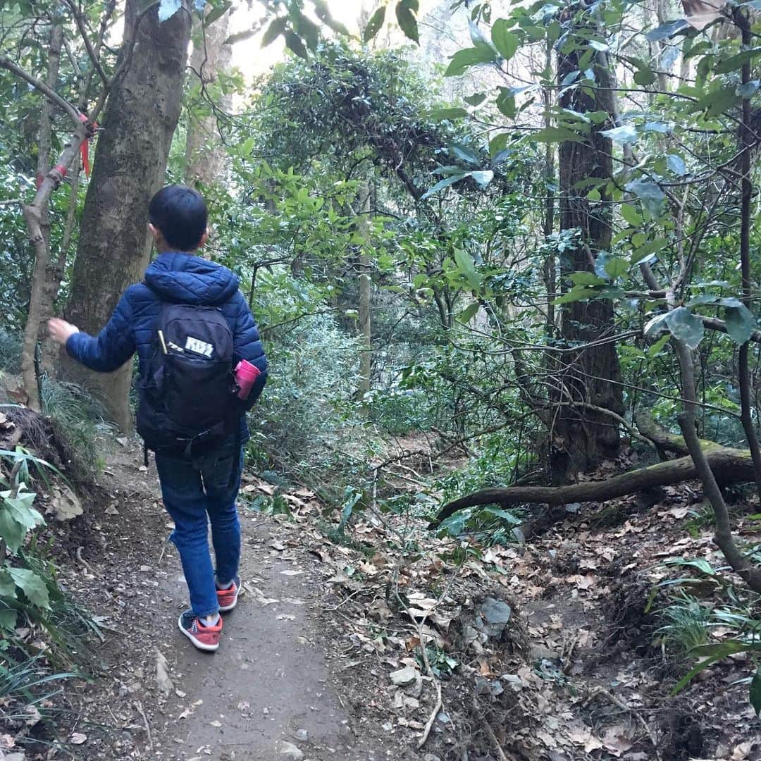 増山敬子さんのインスタグラム写真 - (増山敬子Instagram)「今日は登山するって決めて 都心から1時間ほどの #高尾山　へ行ってきました⛰ 高尾山には年間300万人以上の方達が観光で訪れるそう。 そんなにリサーチをせずに、 登山に向かったため、 高尾山って、登山だけじゃなくて、 グルメ、温泉、パワースポットまであるの？ っと普段山登りをしていないだけに、 全てが新鮮だった一日。 そしてこのコースなら、ちょっと登りに行こうか！って気軽な気持ちでチャレンジ出来るところがかなり魅力的で、なんといっても、自然豊かな場所、空気もよく、雑音もなく、ただただ、歩く音や、呼吸をする音、樹々や葉が風になびく音、そんな時間も大切だし、自分の考えを自然の中で再認識する事の大切さを高尾山で感じる為に行って来たよー！(まぁ、喧嘩も多いから登山しながらコミュニケーションと自然セラピーみたいなね💆🏼‍♀️) 写真や伝えたいこともかなり多いんだけど携帯の画面が小さすぎて笑 blogに沢山写真と感想を今日書くねっ！ 自然の中って本当に気持ちいいっ！ 山上から眺める景色は最高！ (高い所ダメだが、山上は平気みたい笑) と言うことで、わたしと息子の修行の旅笑 近場で登山ができて本当によかったーし！気持ちよかったからみんなも行ってみてほしいな🙋🏼‍♀️✨✨ *  #たま発 #登山#小学生ママ#アクティブママ#かぞくのじかん#こどもとおでかけ#子供と登山#子供とお出かけ部#男のママ#ニューバランス#アディダス#ユニクロ#ダウン#gu#ジーユーコーデ#gvgv#アラフォーママ#リフレッシュ#自然体  #tamahatsu  #PR  #多摩の魅力発信プロジェクト」2月7日 8時41分 - keikomasuyama