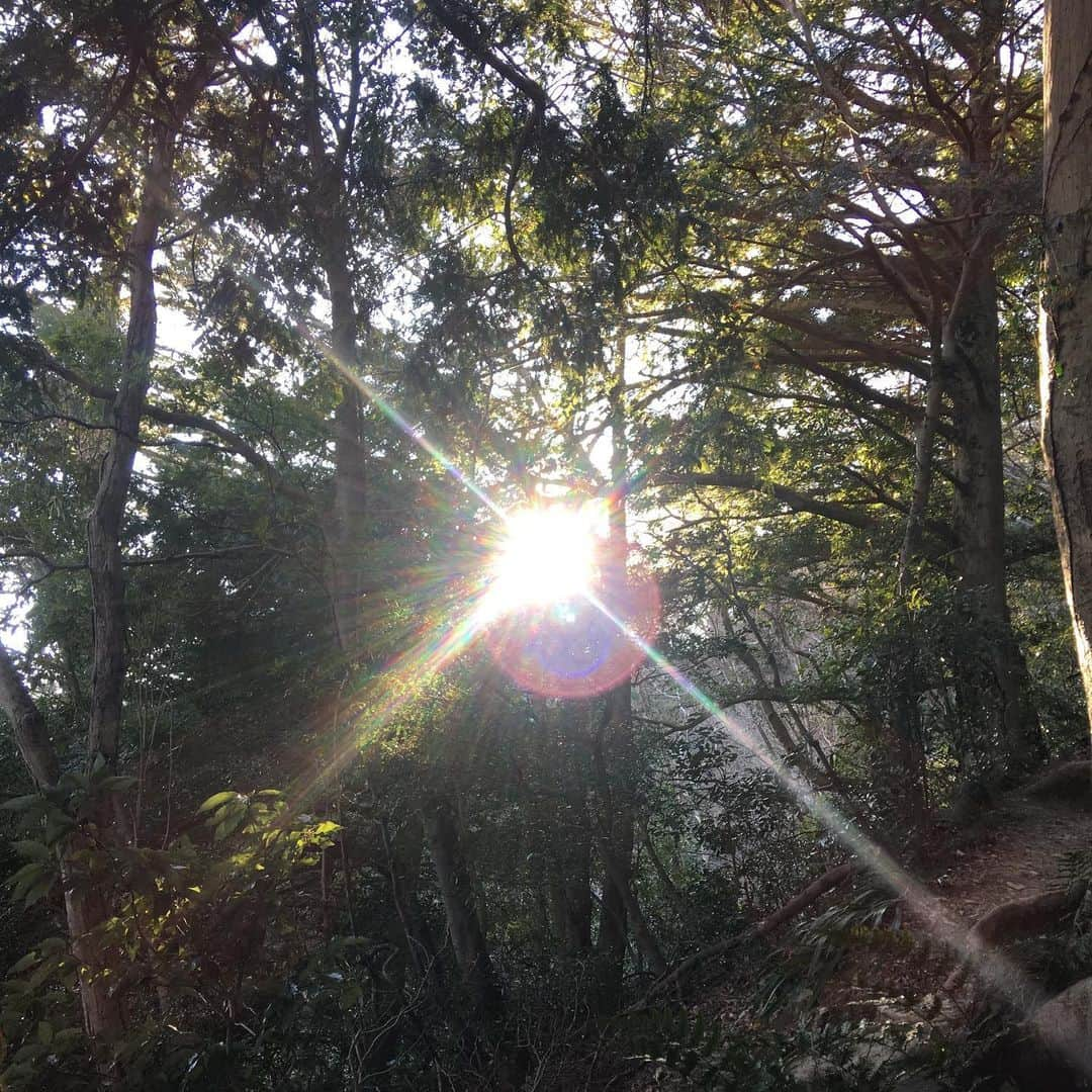 増山敬子さんのインスタグラム写真 - (増山敬子Instagram)「今日は登山するって決めて 都心から1時間ほどの #高尾山　へ行ってきました⛰ 高尾山には年間300万人以上の方達が観光で訪れるそう。 そんなにリサーチをせずに、 登山に向かったため、 高尾山って、登山だけじゃなくて、 グルメ、温泉、パワースポットまであるの？ っと普段山登りをしていないだけに、 全てが新鮮だった一日。 そしてこのコースなら、ちょっと登りに行こうか！って気軽な気持ちでチャレンジ出来るところがかなり魅力的で、なんといっても、自然豊かな場所、空気もよく、雑音もなく、ただただ、歩く音や、呼吸をする音、樹々や葉が風になびく音、そんな時間も大切だし、自分の考えを自然の中で再認識する事の大切さを高尾山で感じる為に行って来たよー！(まぁ、喧嘩も多いから登山しながらコミュニケーションと自然セラピーみたいなね💆🏼‍♀️) 写真や伝えたいこともかなり多いんだけど携帯の画面が小さすぎて笑 blogに沢山写真と感想を今日書くねっ！ 自然の中って本当に気持ちいいっ！ 山上から眺める景色は最高！ (高い所ダメだが、山上は平気みたい笑) と言うことで、わたしと息子の修行の旅笑 近場で登山ができて本当によかったーし！気持ちよかったからみんなも行ってみてほしいな🙋🏼‍♀️✨✨ *  #たま発 #登山#小学生ママ#アクティブママ#かぞくのじかん#こどもとおでかけ#子供と登山#子供とお出かけ部#男のママ#ニューバランス#アディダス#ユニクロ#ダウン#gu#ジーユーコーデ#gvgv#アラフォーママ#リフレッシュ#自然体  #tamahatsu  #PR  #多摩の魅力発信プロジェクト」2月7日 8時41分 - keikomasuyama