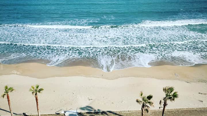 早坂香須子のグルメインスタ