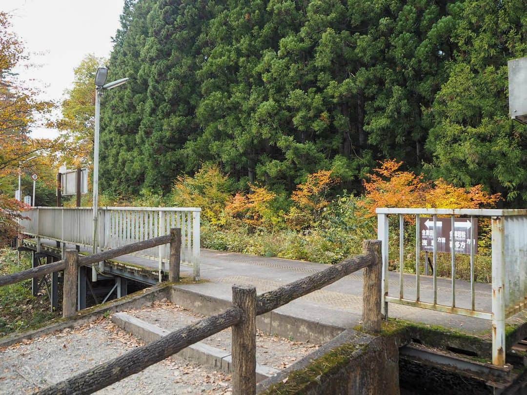 伊藤桃さんのインスタグラム写真 - (伊藤桃Instagram)「会津鉄道の旅パート2♡ 最初に下車したのは····· #塔のへつり駅 ✨ 国指定天然記念物の塔のへつりの最寄り駅です^^* 季節は11月あたま。ホームからも紅葉をかんじられます♡ 🚉 まるで林の中にたつ、山小屋のようなかわいらしい塔のへつり駅。 駅の中もまさにそのまま、素朴な雰囲気がとてもよきでした🥺 6.7枚目: 駅の入口も可愛らしいですよね✨ 🚉 もちろん、せっかくなので約1時間半の停車時間の間に、塔のへつりにも向かいましたよー！ 8枚目: 踏切にあった車両のマークかわいい🥰 9枚目: ああ、こんなローカル線の雰囲気がただすきです。 10枚目: もう1枚はれたので自撮りペタリ。笑笑 塔のへつり編につづく(❁´ω`❁) 🚉 #会津鉄道  #ローカル線の旅  #ローカル線の駅 #japan_of_insta  #タビジョ」2月7日 19時47分 - itomomo_tetsu
