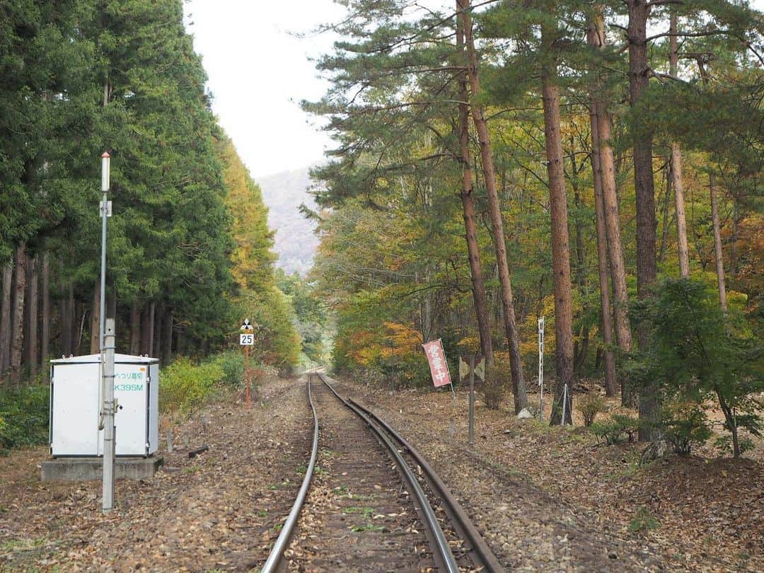 伊藤桃さんのインスタグラム写真 - (伊藤桃Instagram)「会津鉄道の旅パート2♡ 最初に下車したのは····· #塔のへつり駅 ✨ 国指定天然記念物の塔のへつりの最寄り駅です^^* 季節は11月あたま。ホームからも紅葉をかんじられます♡ 🚉 まるで林の中にたつ、山小屋のようなかわいらしい塔のへつり駅。 駅の中もまさにそのまま、素朴な雰囲気がとてもよきでした🥺 6.7枚目: 駅の入口も可愛らしいですよね✨ 🚉 もちろん、せっかくなので約1時間半の停車時間の間に、塔のへつりにも向かいましたよー！ 8枚目: 踏切にあった車両のマークかわいい🥰 9枚目: ああ、こんなローカル線の雰囲気がただすきです。 10枚目: もう1枚はれたので自撮りペタリ。笑笑 塔のへつり編につづく(❁´ω`❁) 🚉 #会津鉄道  #ローカル線の旅  #ローカル線の駅 #japan_of_insta  #タビジョ」2月7日 19時47分 - itomomo_tetsu