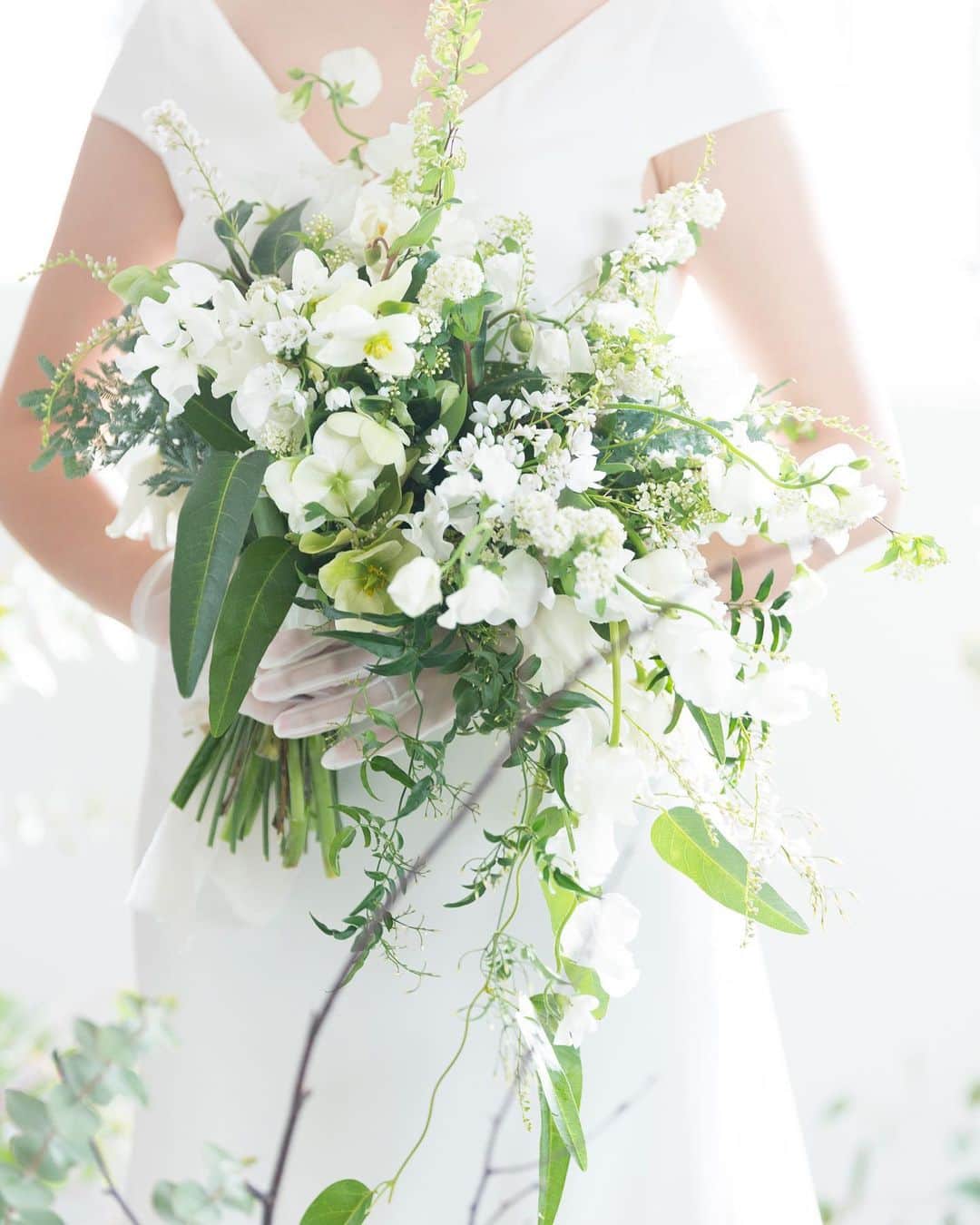 メゾン・ド・タカ芦屋のグルメインスタ