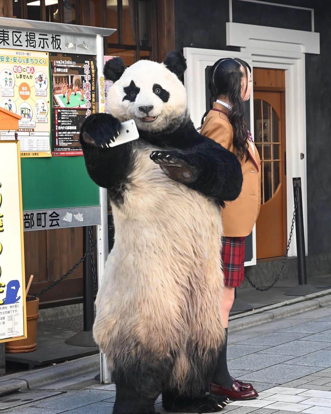 星星（セイセイ）さんのインスタグラム写真 - (星星（セイセイ）Instagram)「😘 . #レイアちゃん #写真撮ろうよー #ねーねー #星星 #パンダ #panda #pandagram #パンダ好きな人と繋がりたい #レイア #相方 #ZIP!」2月7日 12時31分 - seisei_panda
