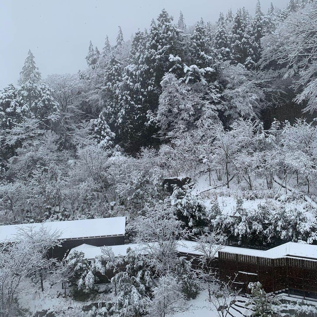 新原愛加のインスタグラム：「☃️」