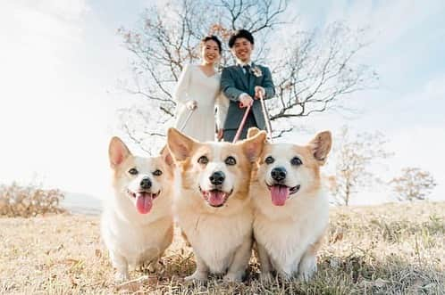 プレ花嫁の結婚式準備アプリ♡ -ウェディングニュースさんのインスタグラム写真 - (プレ花嫁の結婚式準備アプリ♡ -ウェディングニュースInstagram)「前撮りで取り入れたい♡おしゃれなウェディングフォト9選✨ . . ➸➸➸➸➸➸➸💒➸➸➸➸➸➸➸ 本当の料金がわかる✨ ウェディングニュース式場検索 👰 . アプリ： @weddingnews_editor web版： @weddingnews_concierge ➸➸➸➸➸➸➸➸➸➸➸➸➸➸➸➸ . . こちらのお写真は #フォトグラファー @qooga_photo さんからリグラムさせていただきました🌟ありがとうございました😊✨ . . #前撮り に取り入れたい♡qooga_photoさんの素敵な #ウェディングフォト ♩ . カバーは結婚式BGMで大人気💕 #RADWIMPS の【いいんですか？】が収録されたアルバムのジャケット写真を再現したユニークなショットです😍✨ . クオリティが高くて、ファンの方にはたまらない1枚ではないでしょうか❤ . RADWIMPSのいいんですか？といえば👀💕 #君の名は の主題歌 #前前前世 と同じくらい、人気の結婚式BGMの1つとして名高い曲なんです😘 . 『いいんですか いいんですか こんなに人を好きになっていいんですか』 . 『いいんですよ いいんですよ あなたが選んだ人ならば』 . という歌詞がとても印象的で、青春の1曲✨なんて方も多いのではないでしょうか☺️💓 . 2枚目には撮影の裏側も掲載しているので要チェックですよ❣️😍 . ほかのフォトもとても素敵なので、ぜひスワイプ👉🏻してみてくださいね♩ . . . . ＼📷投稿お待ちしています／ . 花嫁はもちろん、業者さんも大歓迎✨ アナタのお写真をご紹介してもOKという方は、ぜひ #ウェディングニュース にお写真を投稿してください💕 . . ⬇︎関連アカウント⬇︎ . 🕊メインアカウント 【 @weddingnews_editor 】 . 💒インスタグラムで式場探し 【 @weddingnews_concierge 】 . 👰花嫁から式場探し 【 @weddingnews_brides 】 . . その他、編集部からの連絡専用 @weddingnews_contact や、スタッフ個人の連絡用として @WN_xxxx（xxxは個人名）があります💕 . . …………………………… ❤️ウェディングニュースとは？ …………………………… . 花嫁のリアルな”声”から生まれた、花嫁支持率No1✨スマホアプリです📱💕 . . 🌸知りたい… #結婚式準備 に役立つ記事を毎日150件配信中♩ . 🌸見たい… インスタの #ウェディング 系投稿TOP100が毎日チェックできる＊IG画像の複数ワード検索も可♩ . 🌸叶えたい… 式場をはじめとした  #結婚式 関連の予約サイトが大集合♩ . 🌸伝えたい… 自分の結婚式レポ『マイレポ』が簡単に作れる♩卒花嫁のレポが読める♩ . . @weddingnews_editor のURLからDLしてね✨ . . . #プレ花嫁 #花嫁 #ウエディング  #プレ花嫁準備 #2020秋婚 #フォトウェディング #ロケーションフォト #新郎新婦 #音楽 #野田洋次郎 #愛妻弁当 #カップルフォト #2020春婚 #2020夏婚 #結婚式前撮り #日本中のプレ花嫁さんと繋がりたい #2021春婚 #結婚写真 #ラッドウィンプス」2月7日 14時00分 - weddingnews_editor