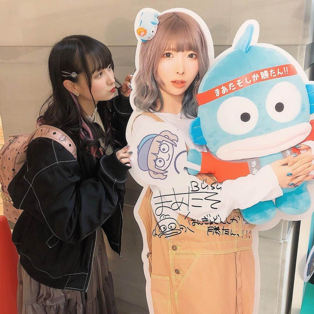 新谷真由さんのインスタグラム写真 - (新谷真由Instagram)「まあたそちゃんしか勝たん‼︎‼︎ それなー！！ . . . #まあたそ #はんぎょどん」2月7日 15時18分 - ni_mayu43