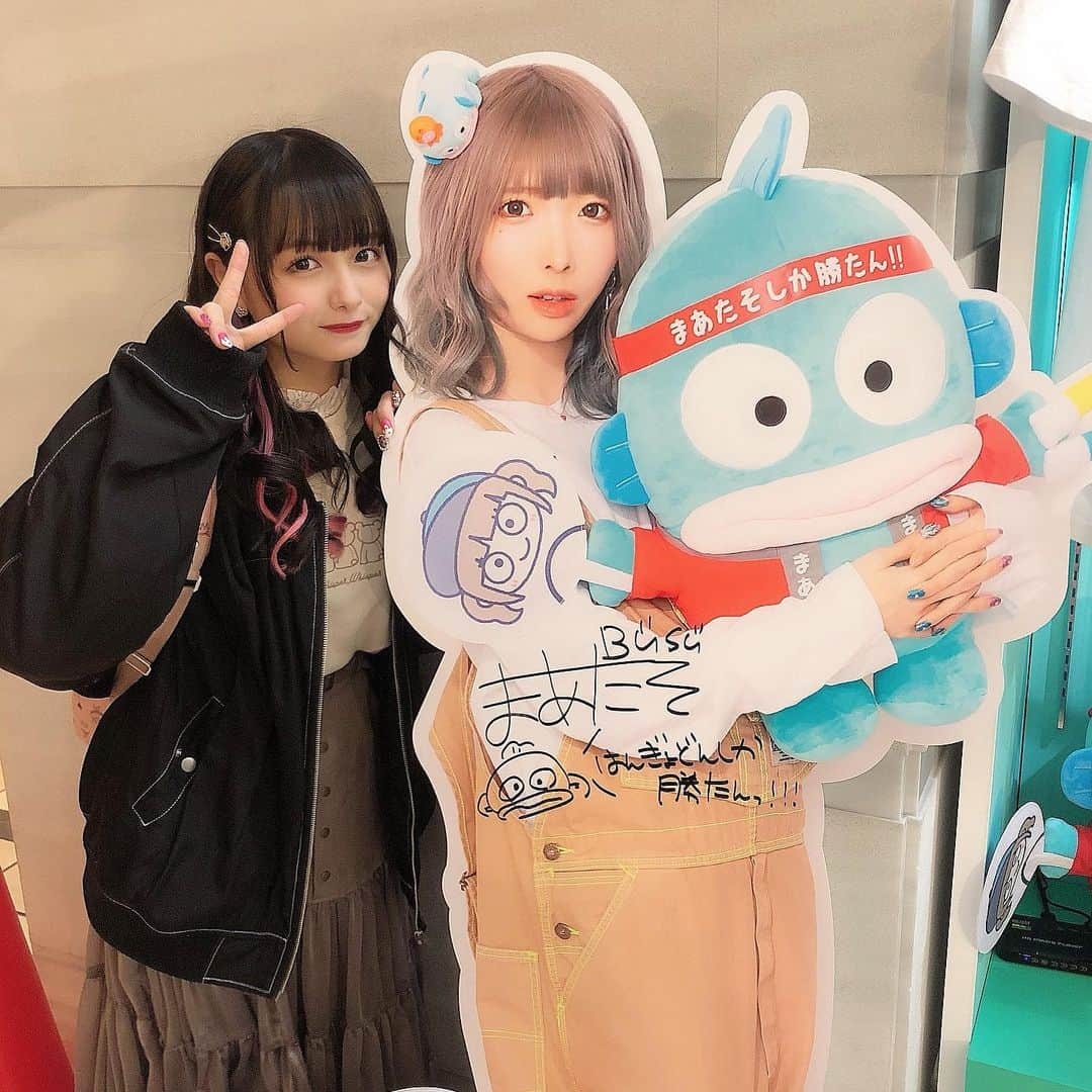 新谷真由さんのインスタグラム写真 - (新谷真由Instagram)「まあたそちゃんしか勝たん‼︎‼︎ それなー！！ . . . #まあたそ #はんぎょどん」2月7日 15時18分 - ni_mayu43