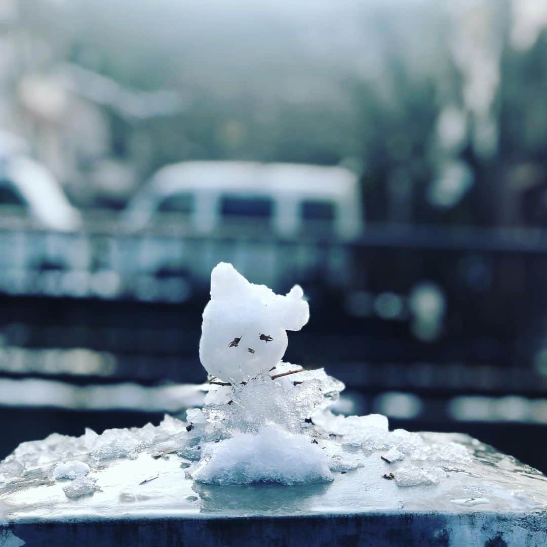 ひうらさとるのインスタグラム：「「雪だるま作ったー、撮ってー」と呼ばれた。」