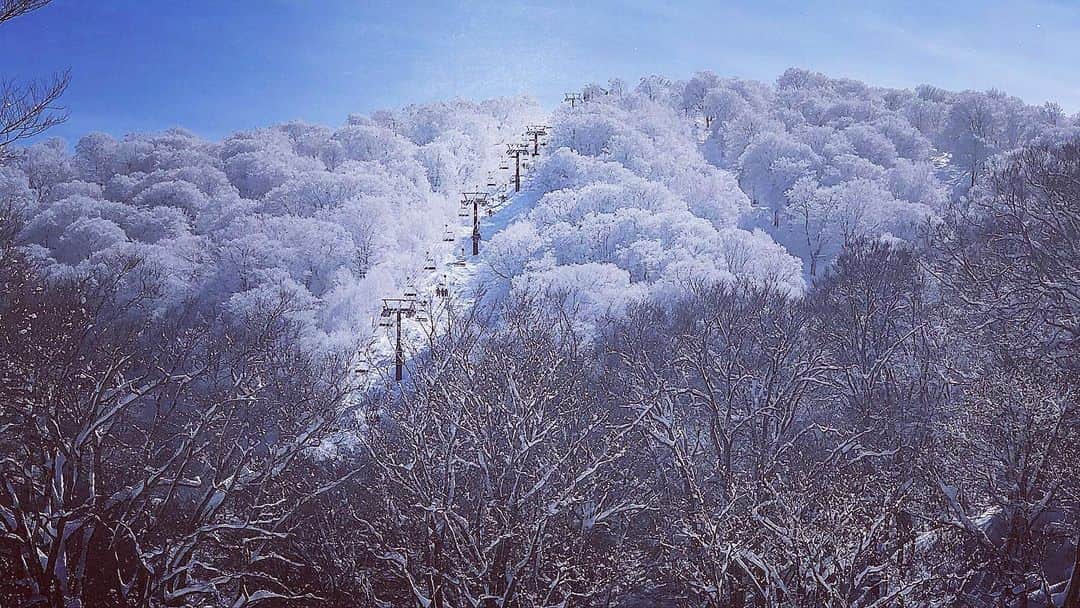 三星マナミさんのインスタグラム写真 - (三星マナミInstagram)「❄︎ ❄︎ ❄︎ This is beautiful🌞🏔❄️✨ ❄︎ ❄︎ @roxyjapan  @oakleyjapan  #snow #snowmountain  #ski」2月7日 15時52分 - mana_uen00116
