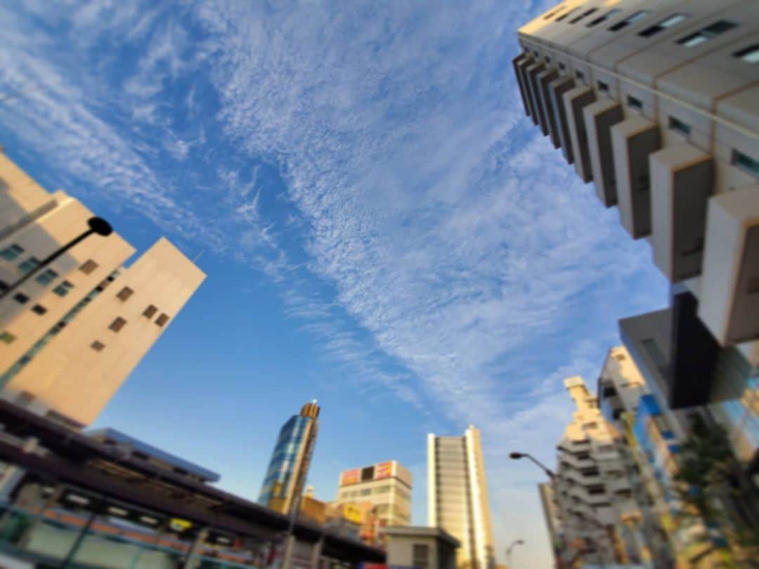 Shihoさんのインスタグラム写真 - (ShihoInstagram)「空が青い  #sky #bluesky #singerslife」2月7日 17時13分 - fried_pride_shiho