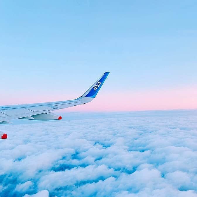 ANAのインスタグラム：「パステルカラーに包まれた世界🛫 （Photo：@dreamingofsunshine__)  #やさしい色の空 #パステルカラー #ダレカニミセタイソラ #a321 #ウィングレット #機窓 #雲 #黄昏時 #グラデーション #ソフトパステル #淡い色彩 #ブルー #ピンク #飛行機からの景色 #ソラマニ_マドカラ #wing #winglet #cloud #gradation #skyblue #anaairplane #airplane #travel #japantrip #ana_jp  機窓からの風景は「#ソラマニ_マドカラ」を付けて投稿してね✈️インスタやANAの各メディアでご紹介していきます💙」