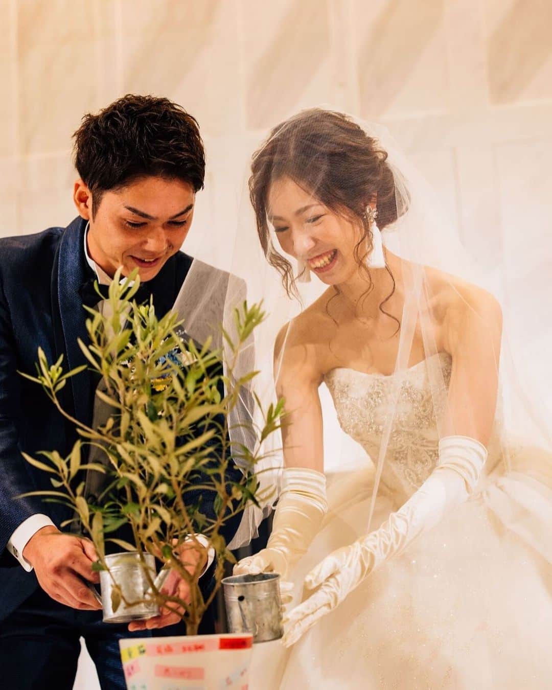 Wedding Park 公式のグルメインスタ