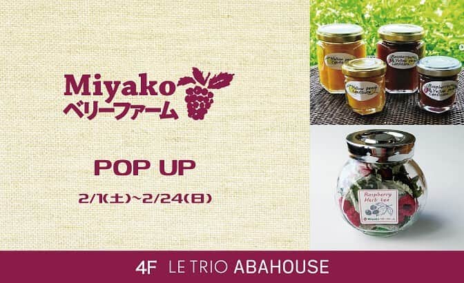 のインスタグラム：「【4F/LE TRIO ABAHOUSE（ルトリオアバハウス）】 . 『Miyakoベリーファーム』 POP UPイベント開催.  2.1（SAT）-2.24（MON） .  山梨県にてラズベリーを中心に生産、販売を行う農園として. 2017年にスタートしたMiyakoベリーファーム。 . 日本一の日照時間のもとラズベリーの栽培を行い. 完熟のもののみをひとつひとつ手摘みし.  できるだけフレッシュな状態で丁寧に加工することで. 生のラズベリーの風味をたっぷり感じて頂ける. ジャム、ハーブティー、ショコラをご用意しました。 . バレンタインチョコの代わりに、ご友人やご自身用にもオススメです。 . . #Miyakoベリーファーム#Miyako#アバハウス. #LETRIOABAHOUSE#ジャム#ペリエ#ペリエDS. #PERIE」