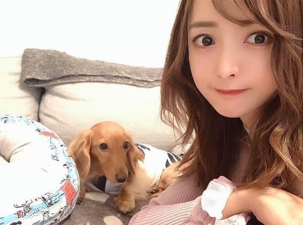 ゆうたむさんのインスタグラム写真 - (ゆうたむInstagram)「我が家の愛犬は最近 (@avancepet )さんの犬用化粧水をつけてブラッシングしたら 毛艶がツヤツヤ〜✨✨ . . . ついでに目やにもティッシュに、シュッとしてひと拭きします💓👀✨ . . . 大分県別府市の温泉を活用した、 100%オーガニック成分でなめても安心だよ👅 . . . 今旅行中で、離ればなれで寂しいよ🐶🐶🥺 . . . #avancepet  #犬用化粧水 #アヴァンスペット #インスタデビュー #インスタグラマーデビュー #のんちゃん #ミニチュアダックスフンド #犬用化粧品 #ドッグコスメ #ペットコスメ #愛犬 #愛犬グッツ #犬用品 #わんちゃん #お散歩 #ブラッシング #グルーミング #グルーミングスプレー #毛並み #犬 #いぬ #犬の皮膚病 #わんこ #ワンコ #dog #dogstagram #dogsofinstagram  #犬スタグラム　#ゆうたむの犬🐶」2月7日 18時44分 - yuutamu_non