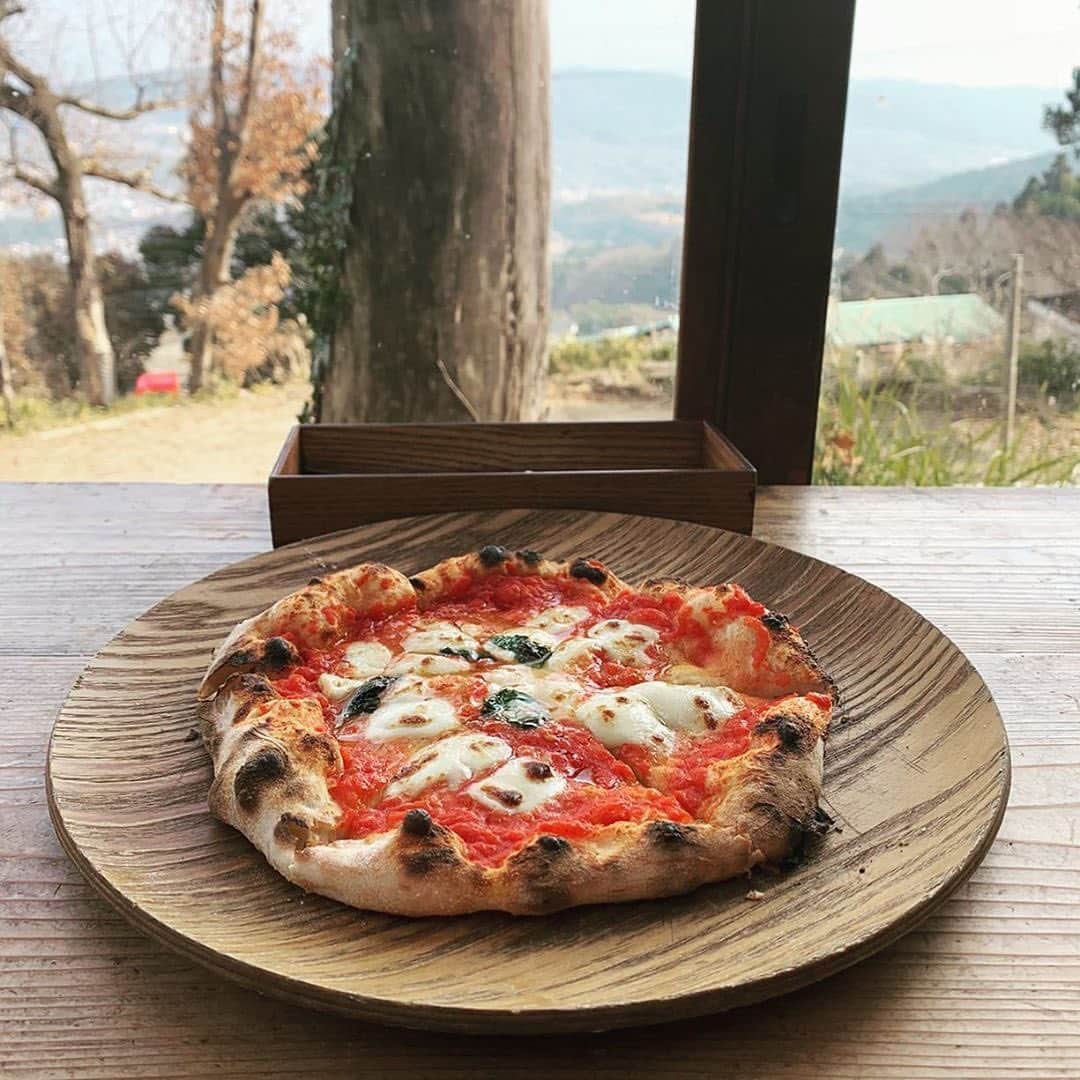 isutaさんのインスタグラム写真 - (isutaInstagram)「【※完全予約制】山の奥の奥の秘境にある究極のピザ屋が教えたくないほど絶品なんです。﻿ ﻿ ﻿ みなさん、奈良県・生駒山の山頂付近にある「山岡ピザ」って知っていますか？﻿ おいしいオーガニックのピザが食べられる有名店で、今まで食べたピザの中で一番おいしいという声がとっても多いんです。﻿ ﻿ ﻿ ﻿ お店はまるでジブリの世界から出てきたようなかわいらしい山小屋で、店内からは奈良市内が一望できます。﻿ 夜だと雰囲気たっぷりの夜景を楽しめるのも魅力です。﻿ ﻿ ﻿ ﻿ 肝心のピザはというと、﻿ お店の大きな窯で焼いていて見た目からもわかるくらいのもっちもち感。﻿ ﻿ ﻿ メニューは通常メニューと、黒板に書かれたおすすめメニューがあり、おすすめメニューは季節に合わせた創作系などラインナップ豊富。﻿ ピザはもちろんですが、パスタもかなり絶品だそうなので、山岡ピザに来た際は腹8分目など気にせずフードファイトしちゃってください！﻿ ﻿ ﻿ 山の上にあるので徒歩だと45分程かかるそうですが、それでも何度も行く人が多くどれだけ美味しいのか想像できますよね…。﻿ アトラクションのような道のりなので、車で行くなら運転技術に自信のある人と行くのが良さそうです◎﻿ ﻿ ﻿ ﻿ 2月は丸々冬季休業のため、3月以降で友達と奈良付近に旅行を計画中の方はぜひチェックしてみてください♩﻿ ﻿ ﻿ ﻿ --- 山岡ピザ ---﻿ ﻿ ◆営業時間﻿ 11:30-15:00 / 18:00-21:00 (平日)﻿ 11:30-16:00 / 17:00-21:00 (土日祝)﻿ ﻿ ◆定休日﻿ 水・2月は丸々休業﻿ ※完全予約制﻿ ﻿ ◆アクセス﻿ 奈良県生駒市鬼取町455﻿ ﻿ ﻿ ﻿ ﻿ photo by﻿ @naaaaaa_tr﻿ @hiroki_fuzita﻿ @youli_96﻿ ﻿ ﻿ ﻿ #山岡ピザ #yamaokapizza﻿ #おしゃれさんと繋がりたい﻿ #生駒観光#奈良カフェ#レストラン#オーガニックピザ﻿ #写真好きな人と繋がりたい #暮らしを楽しむ﻿ #生駒ランチ#生駒山#上質な暮らし﻿ #生駒観光#百名店2019#百名店#完全予約制﻿ #予約困難#予約必須#生駒グルメ﻿ #ラッキーガーデン #マルゲリータ﻿ #生駒ドライブ #奈良グルメ #ピザ好き #ピザランチ #絶景カフェ」2月7日 19時02分 - isuta_jp