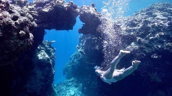 朝日放送「朝だ！生です旅サラダ」さんのインスタグラム写真 - (朝日放送「朝だ！生です旅サラダ」Instagram)「@aiaoki_official 珊瑚礁が広がる #カラフルな海 🏝💜💛💗 水深30メートルでも底が見える透明度の高さ💙 珊瑚礁でできたテーブルやアーチが本当に幻想的😍 フィジーにはおよそ400種類の珊瑚があるらしいんですが、ここの海だけで100種類以上の珊瑚を見ることができるんです👀💕 本当に珊瑚でこんなに感動するなんて思ってなかったので、めちゃくちゃ感動🥺♥️ 私が魚ならこの海に住みたいなぁ🐠💕笑 _ #透明度抜群 #テーブル珊瑚 #美しすぎる #海へ #人魚 #マーメイド #海時間  #フィジー #Fiji _ #ABCテレビ #朝日放送テレビ #生放送 #土曜朝 #8時 #朝だ生です旅サラダ #旅サラダガールズ #青木愛 #海外 #旅 #スペシャル #travel #trip」2月7日 19時39分 - tabisalad
