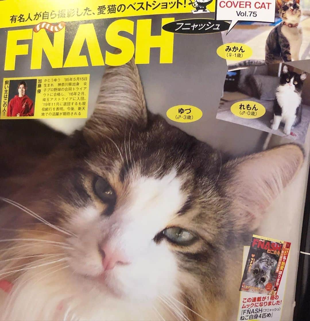 加藤優のインスタグラム