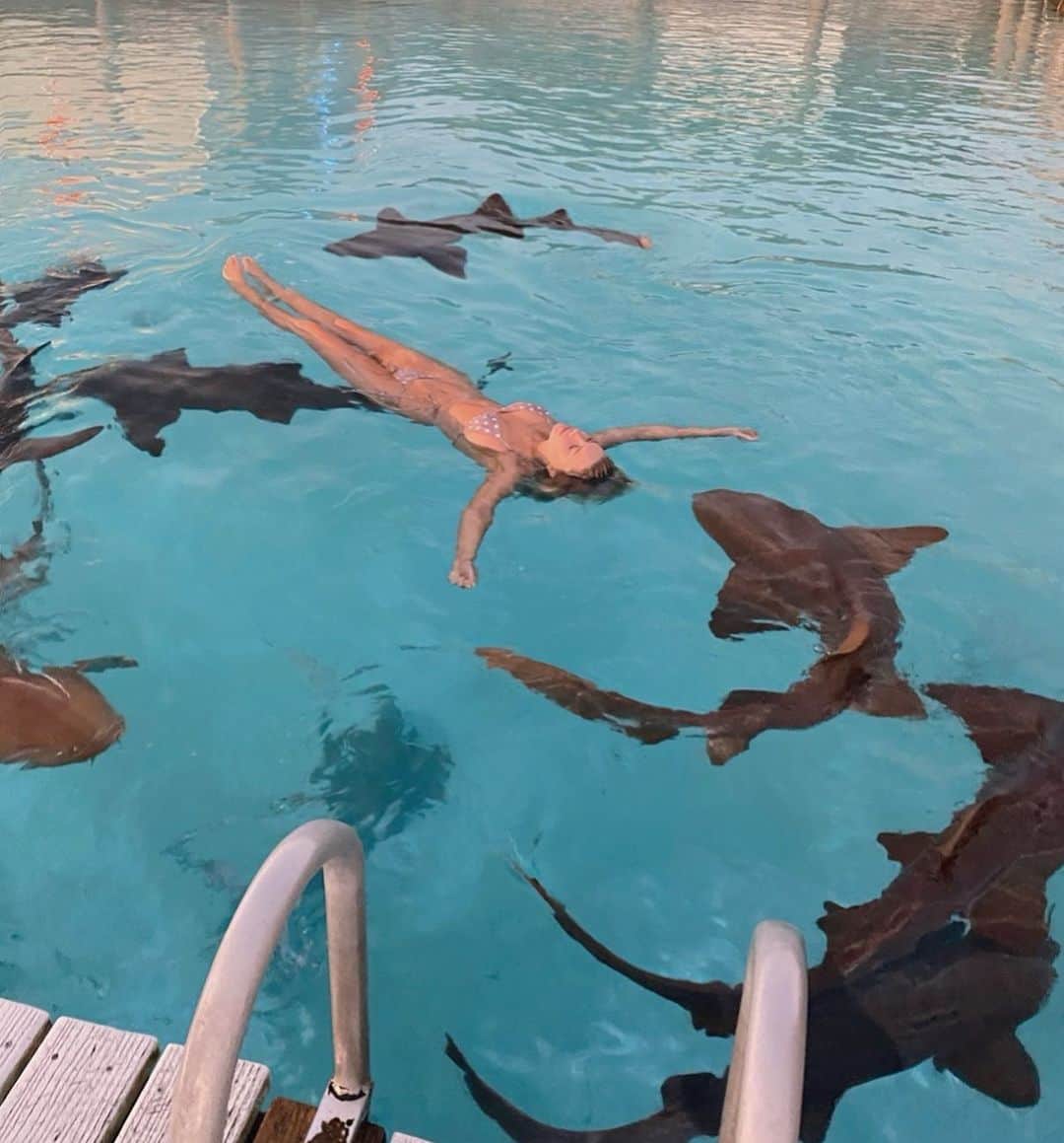 Katelyn Byrdのインスタグラム：「Circle of Life 🦈🙆🏼‍♀️」