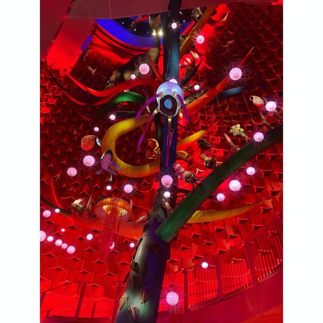 玉巻映美さんのインスタグラム写真 - (玉巻映美Instagram)「初めて！太陽の塔の内部を見学☀️ 大阪に住んではいても 近くて逆に行かない現象ってありますよね…ですが！百聞は一見にしかず とはこのことですね！！🙈 高さ41メートルの生命の樹の迫力・その独特な世界観は 凄まじかったです。これが50年前に考え 作られたものだなんて信じられなかったです。 なんとも言えない もの凄いエネルギーとパワーを全身で感じて、放心状態になりました（笑） 25年の大阪万博では どんなものが生まれるのだろう？🤔とっても楽しみになってきました☺️ #太陽の塔 #岡本太郎 #生命の樹」2月8日 14時43分 - eimi_tamamaki