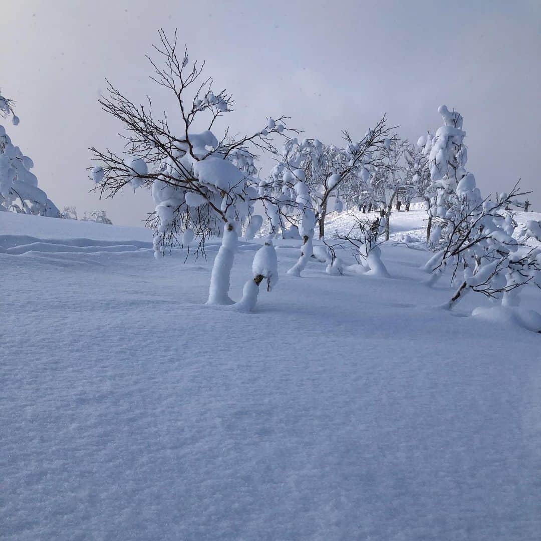 宇佐美進典さんのインスタグラム写真 - (宇佐美進典Instagram)「今日は天気が目まぐるしく変わるなー。　#ルスツ #ski」2月8日 15時23分 - usapon