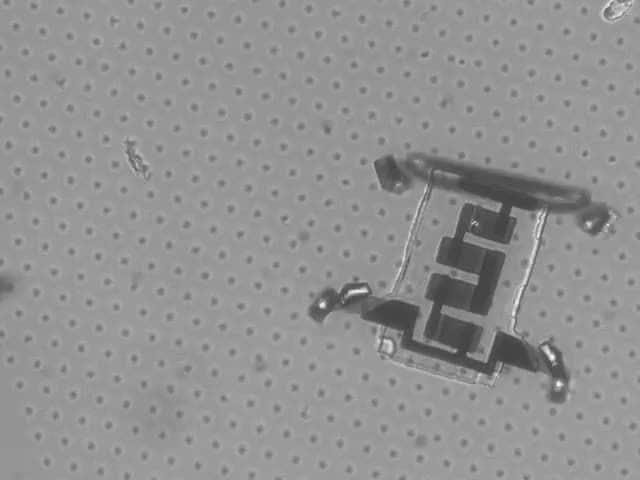TED Talksのインスタグラム：「What you're looking at is a robot… about the size of a red blood cell. For six months, engineer Marc Miskin’s job was to shoot lasers at at these tiny machines called Optical Wireless Integrated Circuits (as shown above) activating their atomically thin legs and skirting them around the microworld. They’re not just an engineering feat; they have the potential to fight some of the world's biggest problems on the nano-scale. “In 30 years, when my son is my age, what will we do with that ability?” Miskin asks. “Will microrobots live in our bloodstream, as common as bacteria? Will they live on our crops and get rid of pests? Will they tell us when we have infections, or will they fight cancer cell by cell?“⁠ ⁠ Learn more about these minuscule wonders at the link in our bio.」