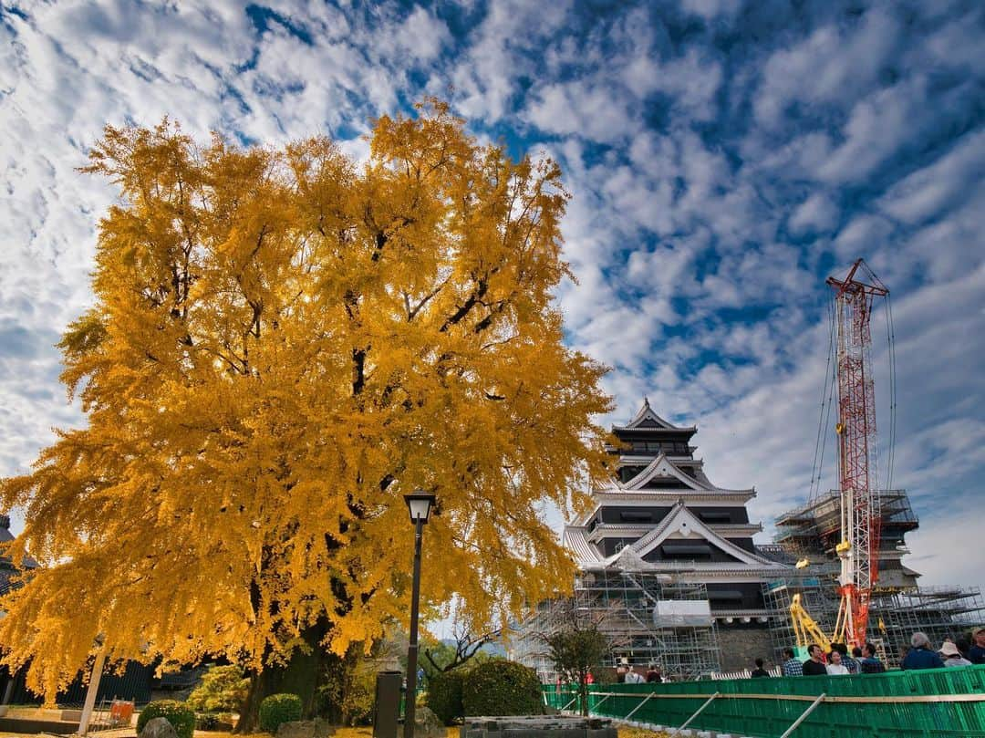 熊本城のインスタグラム