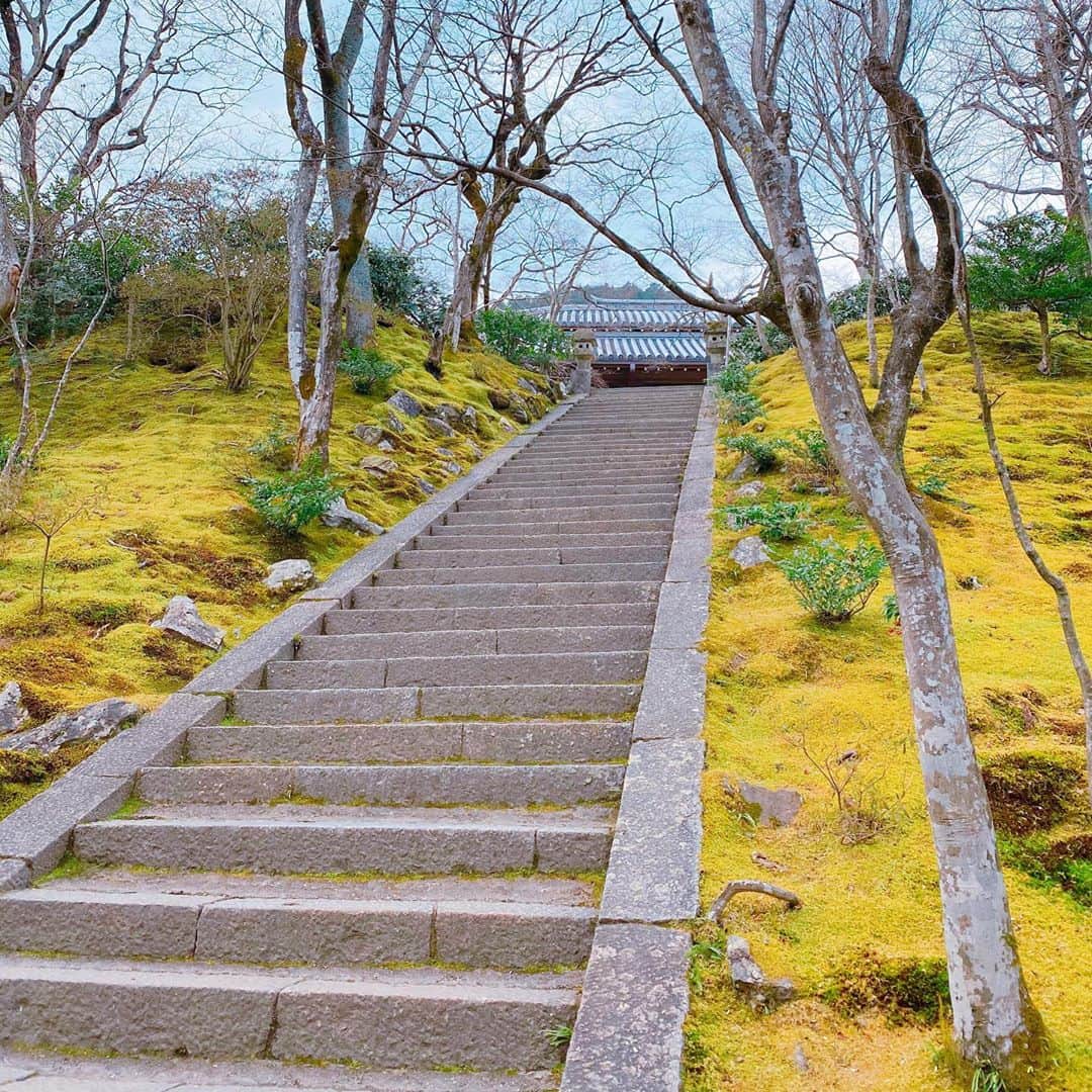 坂東亀三郎さんのインスタグラム写真 - (坂東亀三郎Instagram)「そうだ 京都、行こう❸﻿ ﻿ 竹林の小径を抜け手当てもなくテクテクと。﻿ 常寂光寺に着く。2月3日の節分大祭の日だったのではぜんざい無料接待中！﻿ ﻿ 有難く頂戴致しました。﻿ 少し冷えて歩き疲れた身体に沁み渡る丁度良い甘さと、お庭から見える景色。﻿ ﻿ #そうだ京都行こう﻿ #常寂光寺﻿ #歌舞伎 #音羽屋 #歌舞伎役者﻿ #彦三郎 #坂東彦三郎 #九代目﻿ #歌舞伎部 #otowayabando﻿ #歌舞伎大好き #KABUKI﻿ #無断転載禁止﻿ #彦さんぽ﻿ 無申請のrepost…、なんだかねぇ。﻿ コメントはお気軽に📝﻿ ランダムに返信しまっせ✍️」2月8日 8時09分 - otowayabando