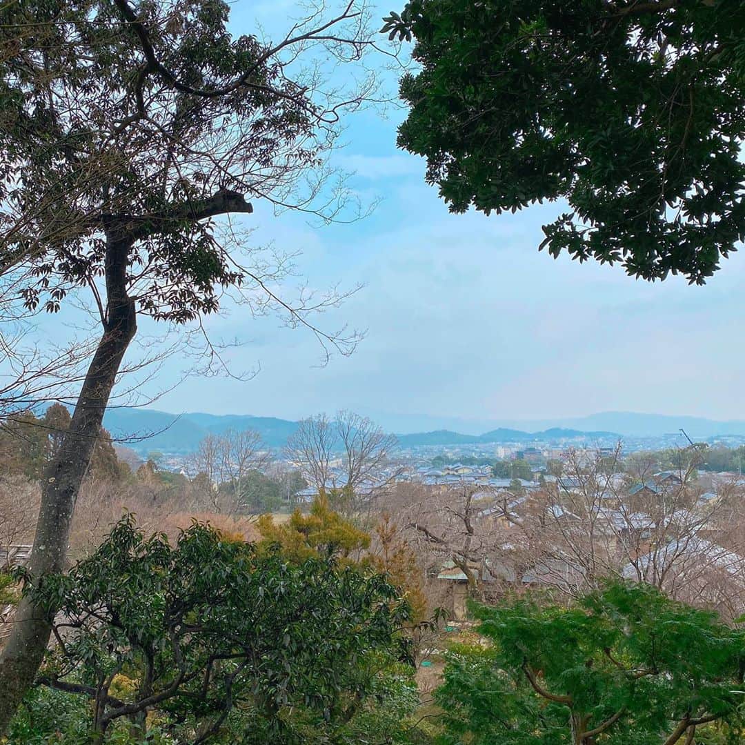 坂東亀三郎さんのインスタグラム写真 - (坂東亀三郎Instagram)「そうだ 京都、行こう❸﻿ ﻿ 竹林の小径を抜け手当てもなくテクテクと。﻿ 常寂光寺に着く。2月3日の節分大祭の日だったのではぜんざい無料接待中！﻿ ﻿ 有難く頂戴致しました。﻿ 少し冷えて歩き疲れた身体に沁み渡る丁度良い甘さと、お庭から見える景色。﻿ ﻿ #そうだ京都行こう﻿ #常寂光寺﻿ #歌舞伎 #音羽屋 #歌舞伎役者﻿ #彦三郎 #坂東彦三郎 #九代目﻿ #歌舞伎部 #otowayabando﻿ #歌舞伎大好き #KABUKI﻿ #無断転載禁止﻿ #彦さんぽ﻿ 無申請のrepost…、なんだかねぇ。﻿ コメントはお気軽に📝﻿ ランダムに返信しまっせ✍️」2月8日 8時09分 - otowayabando