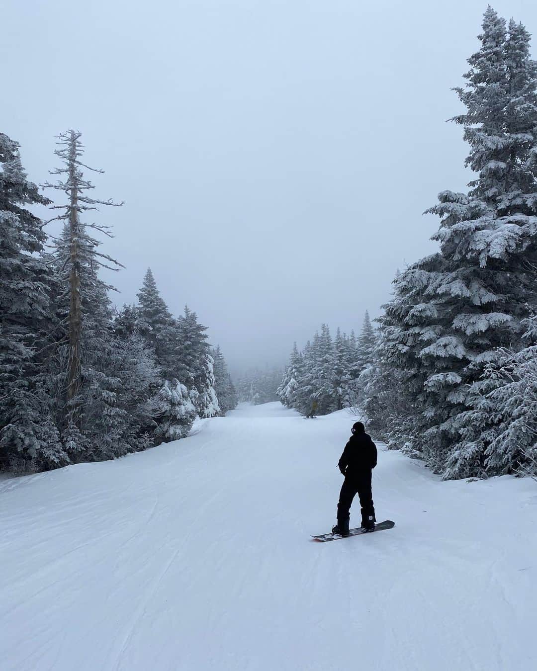 ジャスティン・ヒルズのインスタグラム：「@killingtonmtn」