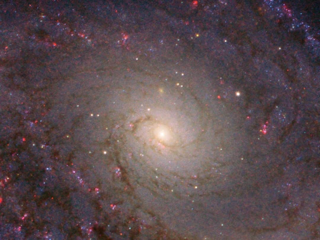 NASAさんのインスタグラム写真 - (NASAInstagram)「This striking swirl of outstretched stars is considered a grand design spiral galaxy — a title earned by only one-tenth of its kind.  While all spirals have a similar structure, there is quite a bit of variation among individual galaxies; some have patchy, oddly shaped arms, some have bars of stars cutting through their core, some are colossal and radiant, and others are dim and diminutive. Grand designs like this one are in many ways the archetype of a spiral galaxy. They are characterized by their prominent, well-defined arms, which circle outward from a clear core.  Click the link in the bio for more info ⬆️⁣ 📸 Image credit: ESA/Hubble & NASA, L. Ho  #NASA #Galaxy #BlackHoles」2月8日 9時03分 - nasa