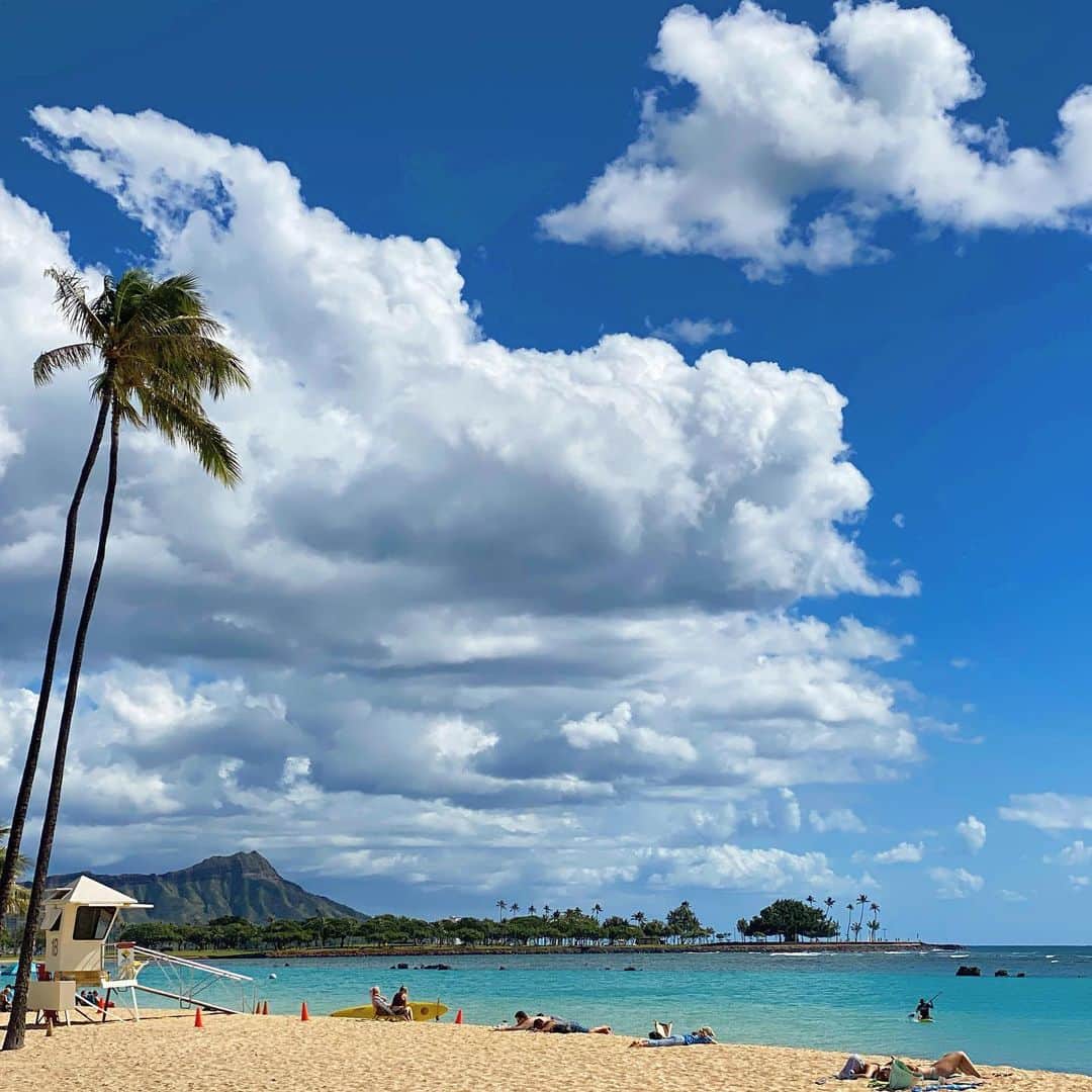 マキ・コニクソンさんのインスタグラム写真 - (マキ・コニクソンInstagram)「Aloha Happy Friday from Ala Moana Beach Park!! 🏖 ハッピーな週末を過ごしてね！ #ハワイのおすそ分け🤙🏼 #皆んなビーチで光合成してる！😊」2月8日 9時09分 - makikonikson