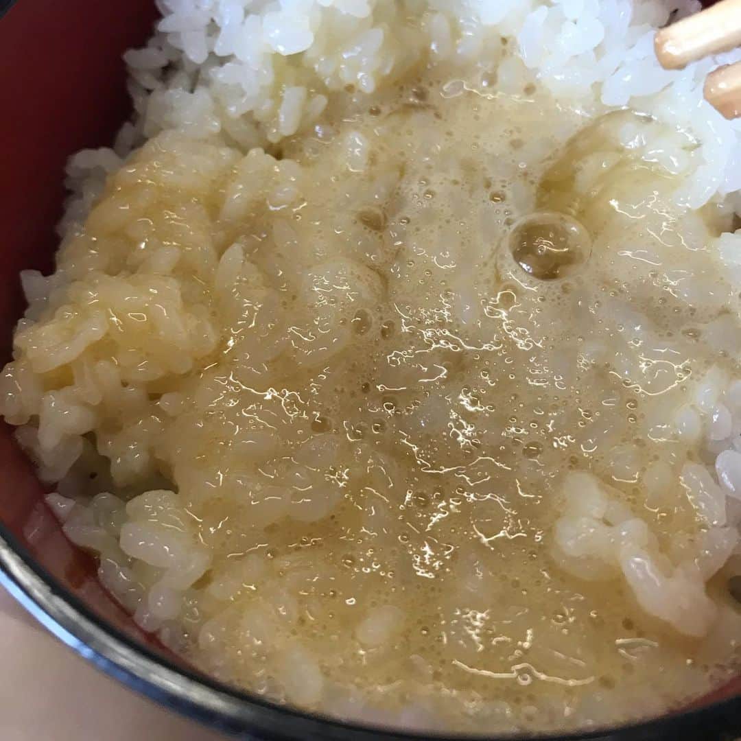 小谷あゆみさんのインスタグラム写真 - (小谷あゆみInstagram)「たまごの黄身が白いんです。 そのわけはおこめ！ おこめ美人たまごー！ 三重県多気町コケコッコー共和国で飼料米ととり焼き肉〜 ー ブログに書きました #ベジアナ  #たまごアナ #おこめアナ https://ameblo.jp/ayumimaru1155/entry-12573603977.html」2月8日 9時40分 - vegeanaayu