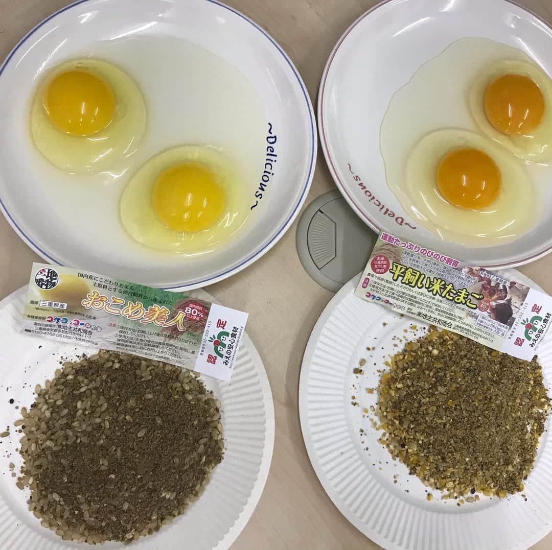 小谷あゆみのグルメインスタ