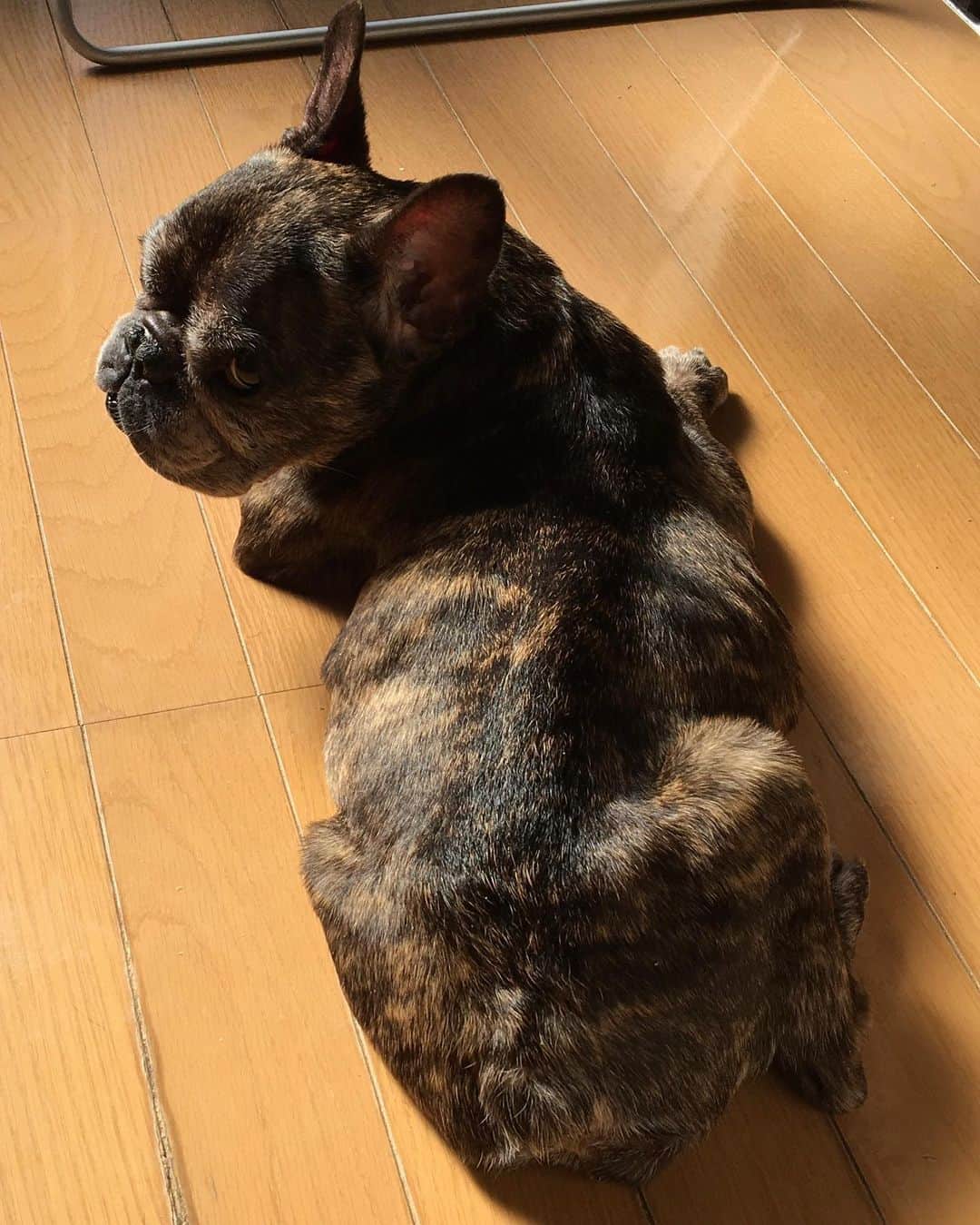 範田紗々のインスタグラム