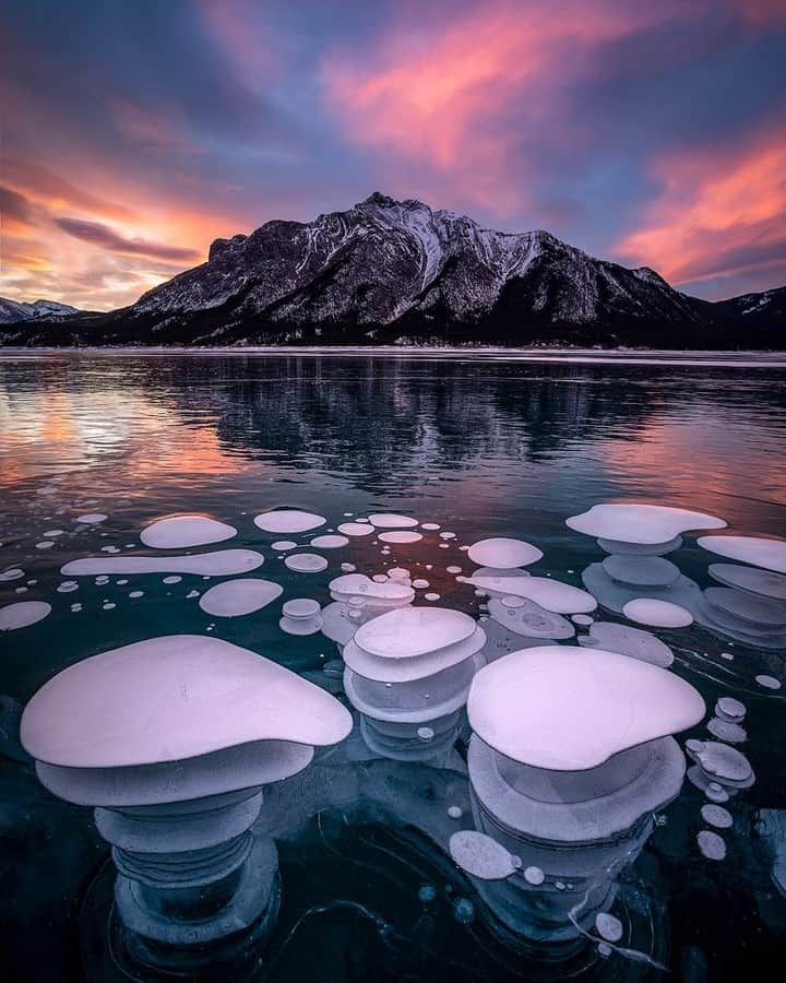 National Geographic Travelさんのインスタグラム写真 - (National Geographic TravelInstagram)「Photo by Kahli Hindmarsh @kahliaprilphoto | A perfect way to start the day. Pristine ice and cotton candy skies made the frozen bubbles reflect all kinds of colors. Clearwater County, Alberta, Canada.」2月8日 10時05分 - natgeotravel