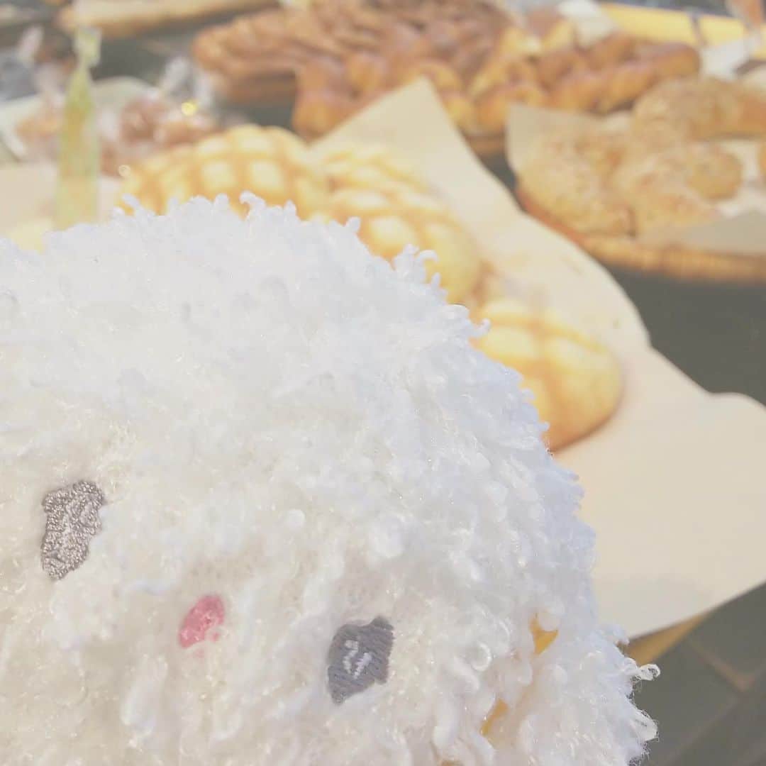 こぎみゅん（サンリオ）のインスタグラム：「. みんな、今日は何してるみゅん‥？ 一緒にあそぶみゅん‥？♡ #サンリオ #キャラクター #小麦粉の妖精 #こぎみゅん #sanrio #character #cogimyun」