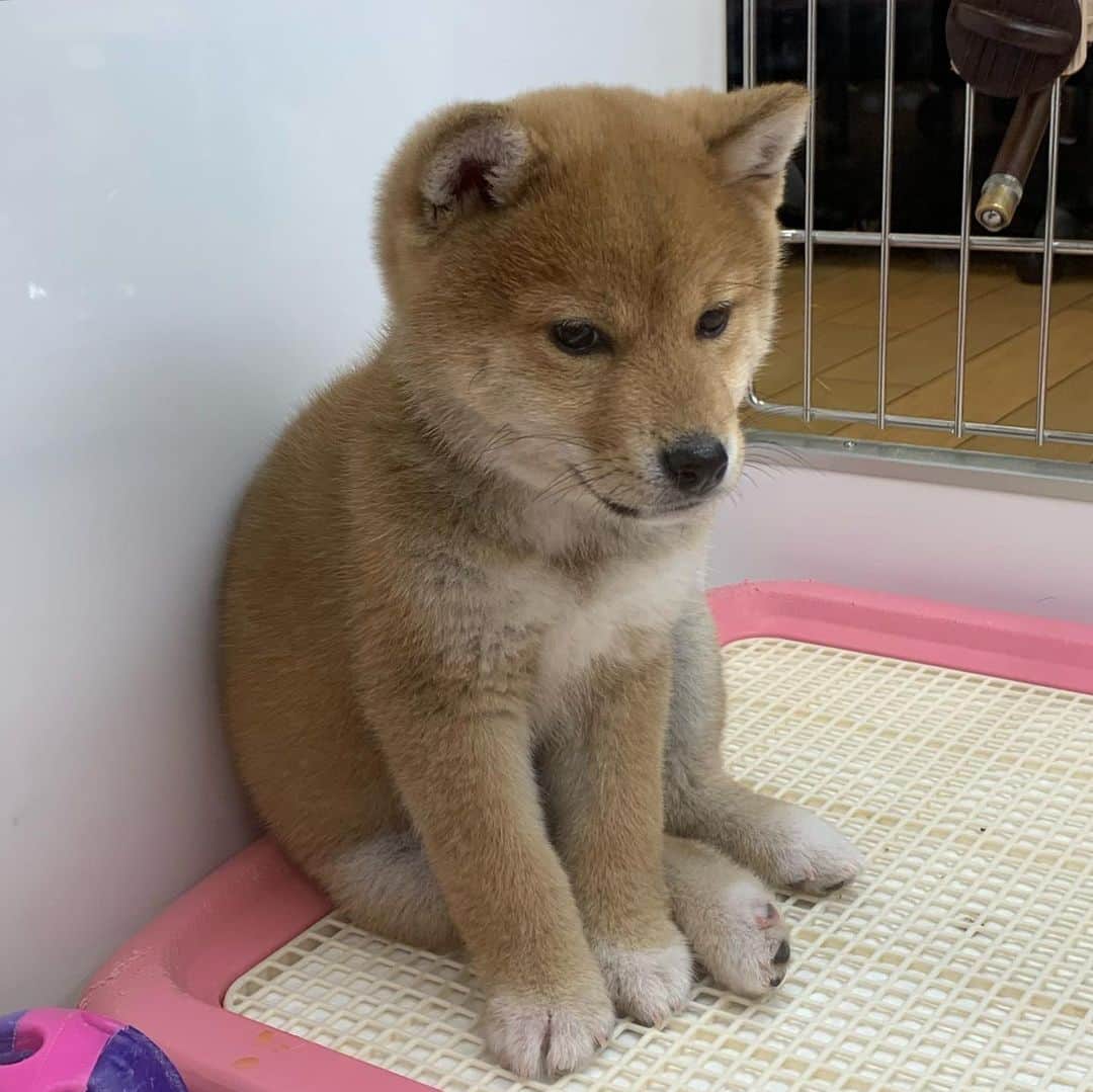 くろのグルメインスタ