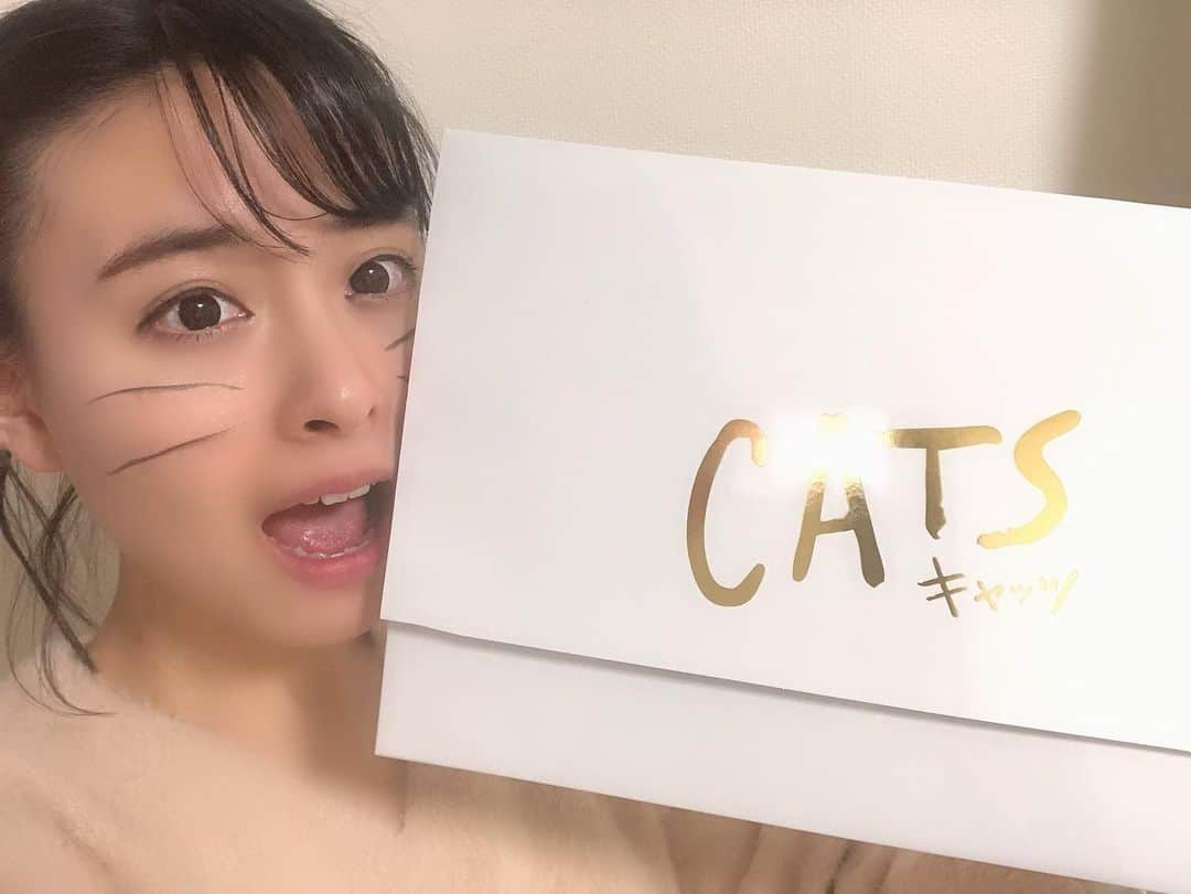 望木聡子さんのインスタグラム写真 - (望木聡子Instagram)「映画 #CATS ご覧になりましたか？😼 #マンカストラップ の吹き替えは #ドデスカ ファミリーの #山崎育三郎 さん🐈 . #バストファージョーンズ 役は #ザキロバ メンバーの #ロバート #秋山竜次 さん🐈 . #ミストフェリーズ 役は メ〜テレドラマ「#本気のしるし」主演の #森崎ウィン さん🐈 . #ラムタムタガー 役は #BomberE「望木アナのアーティストになろう」企画でお世話になっている #Official髭男dism の #藤原聡 さん🐈 . もおお〜ご縁のある大好きな方ばかりで、声を聞いているだけで楽しかったです😹 . #キャッツ #映画 #映画好きな人と繋がりたい #movie #猫 #猫好きさんと繋がりたい #cat #メーテレ #アナウンサー #望木聡子 #もっちー」2月8日 12時09分 - satoko_mochiki