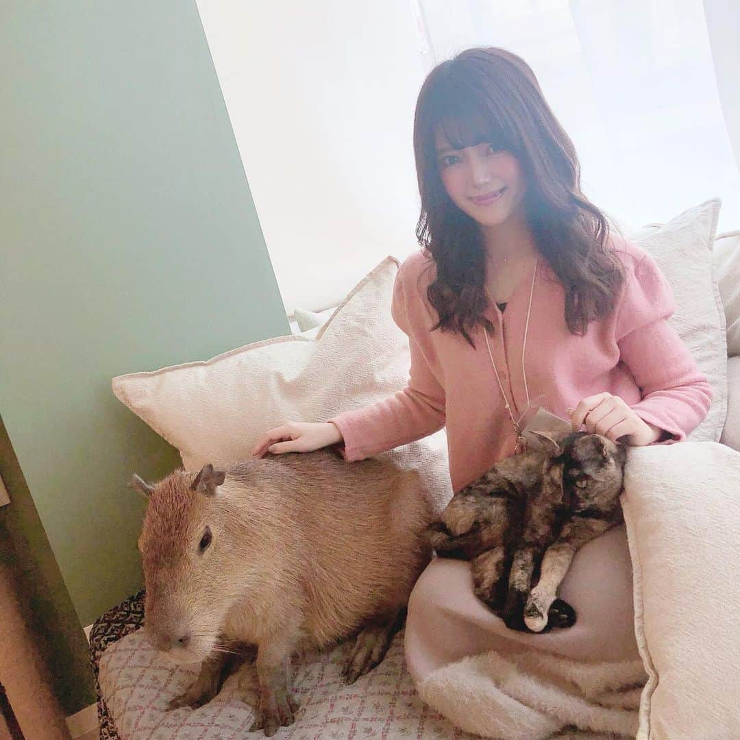 山田あかりのグルメインスタ