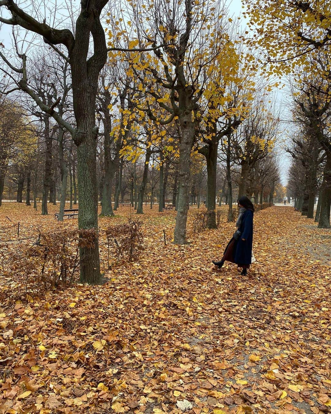 湯浅なるせのインスタグラム：「🍁」