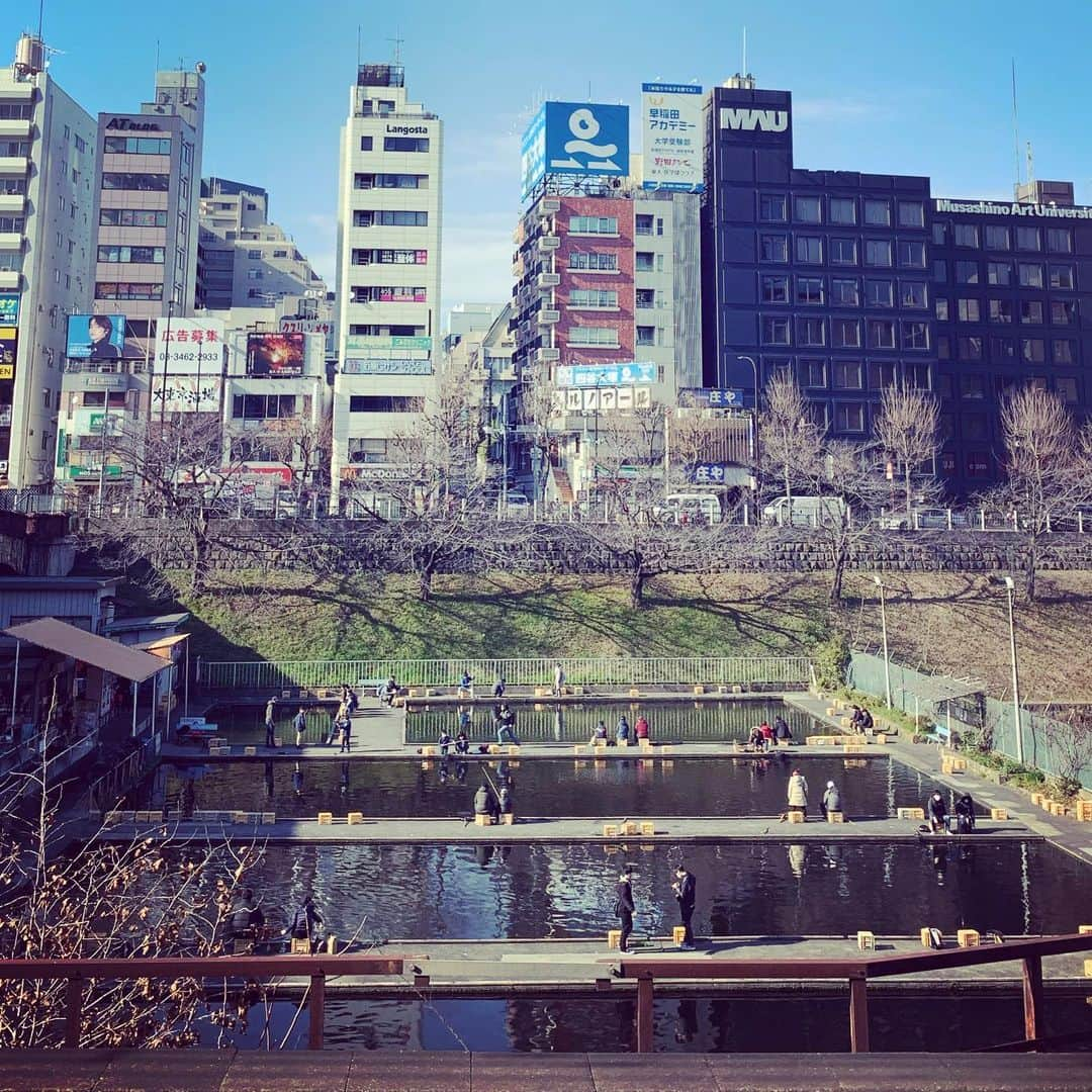 山本真由美さんのインスタグラム写真 - (山本真由美Instagram)「. 🎣堀 . . #釣り #釣堀 #japan #tokyo  #fishing #people #tinypeople  #sunny #冬 #winter #train #車窓」2月8日 23時48分 - mayumi_yamamoto.official