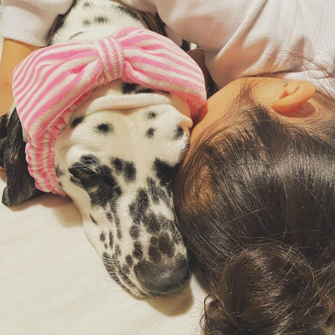 高岡早紀 さんのインスタグラム写真 - (高岡早紀 Instagram)「今夜もおやすみなさい。。 #dalmatian  #daughter #peace #娘」2月9日 0時05分 - saki_takaoka