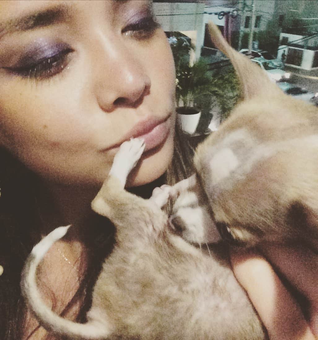 加賀美セイラのインスタグラム：「#love #dogs #puppies #AMonthOld #LoveAnimals I had my first dog from the #shelter in #Japan and I still miss him to death #RescueDogs #保健所犬  セイラが犬、欲し過ぎてセイラママパパからもらった最初の犬が、救助した犬だったんだ♥️家着いた時、めっちゃ怖がってて、最初2時間ぐらい動かなくて、どぅしよって思ってたら、凄い震えながら歩いて、ご飯食べてくれた🍚それがセイラが6歳の時。それから13年一緒だった。ジャック。ジャック無くしてから犬飼えなくなった、悲しみがすご過ぎて。肺癌で亡くなったけど、凄い幸せだったょ♥️セイラパパが1番泣いたかも I loved my dog my parents got me from a shelter when I was 6years old. I miss him to death but since I lost my precious I couldn’t have another dog since it was so hard to get over him. #Beautiful mix of #collie and #bordercollie  #SaveAnimals ♥️♥️♥️」