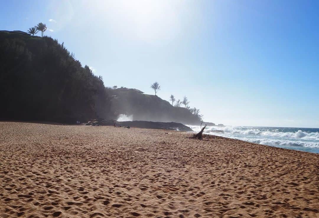 青山美郷さんのインスタグラム写真 - (青山美郷Instagram)「・ いつだって寝転べる場所があるって最高だったなぁ。  #kauai#hawaii#imisskauai」2月8日 17時08分 - aoyama_misato