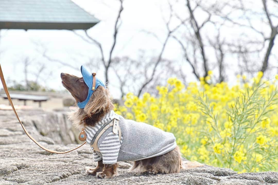 etsukoのインスタグラム