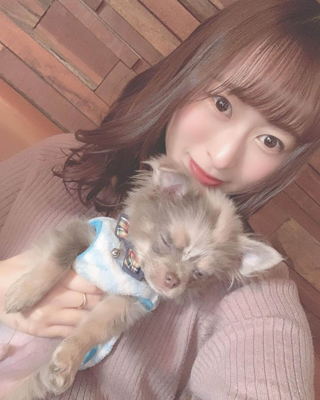 三浦亜莉沙さんのインスタグラム写真 - (三浦亜莉沙Instagram)「﻿ ▷▷ 𝐰𝐢𝐧𝐤﻿ ﻿ ぽこのウインク﻿ いただきました😚💓﻿ ﻿ かわいい♡♡♡﻿ ﻿ #🐶﻿ #ウインク」2月8日 17時22分 - arisa_0720